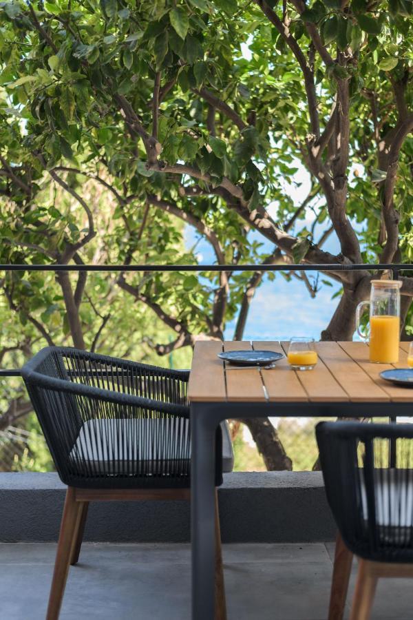 Proche Monaco, Vue Mer, Acces Plage Et Jardin Privatif Saint-Antoine  Exterior photo