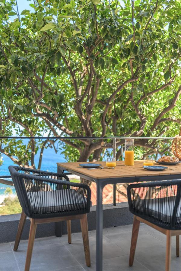 Proche Monaco, Vue Mer, Acces Plage Et Jardin Privatif Saint-Antoine  Exterior photo